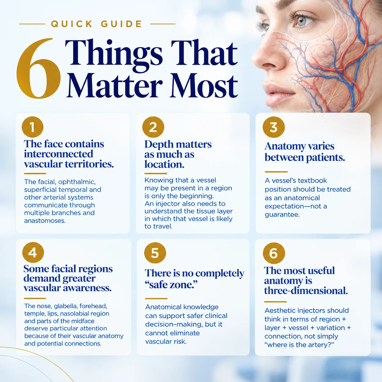 Facial Vascular Anatomy - Regional Variation